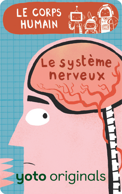 Explorobots : Le corps humain