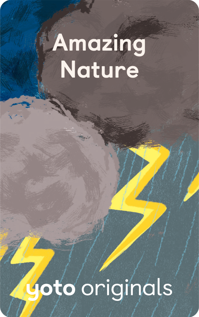 Amazing Nature