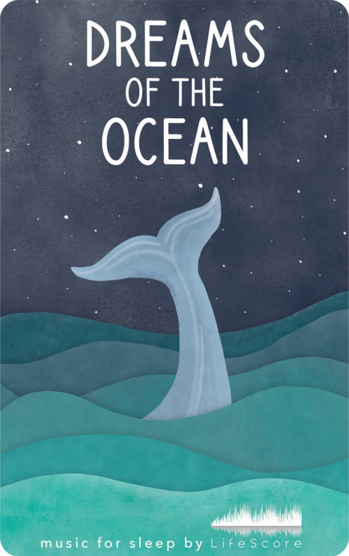 The Dream Collection